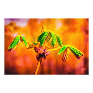 Brandbestendigheid Foto Afdruk