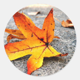 Brandblaar Ronde Sticker