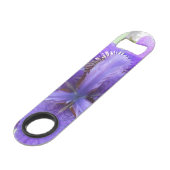 Brandeis (Dos Angle)