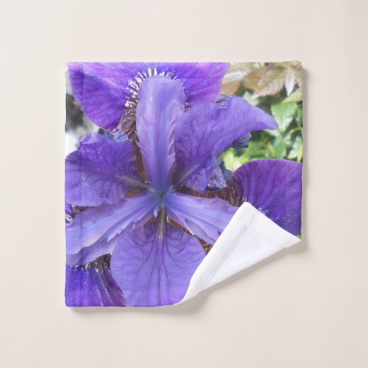 Brandeis (Gant de toilette)