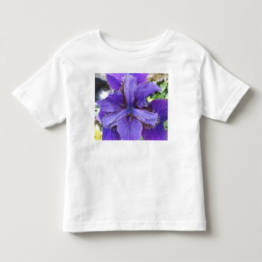 Brandeis Kinder Shirts (Voorkant)