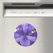 Brandeis Magneet (Insitu (Vaatwasser))