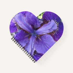 Brandeis Notitieboek