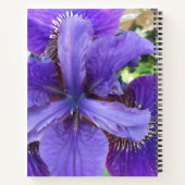 Brandeis Notitieboek (Achterkant)