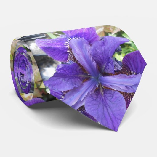 Brandeis Stropdas (Opgerold)