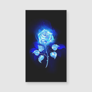 Brandende Blauwe Roos