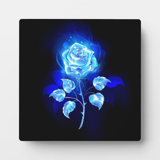 Brandende Blauwe Roos Fotoplaat (Voorkant)