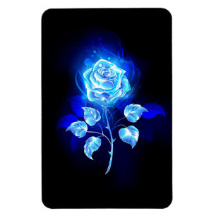 Brandende Blauwe Roos Magneet