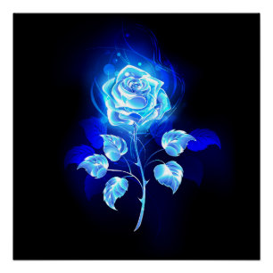 Brandende Blauwe Roos Perfect Poster