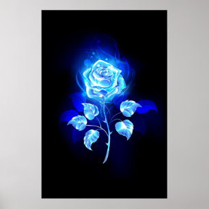 Brandende Blauwe Roos Poster