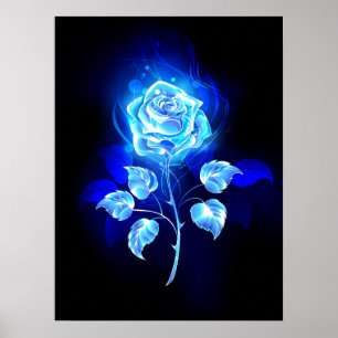 Brandende Blauwe Roos Poster