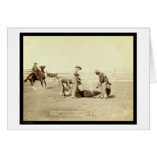 Brandkalveren op Roundup SD 1888