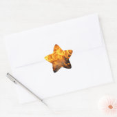 Brandpenseel Ster Sticker (Envelop)
