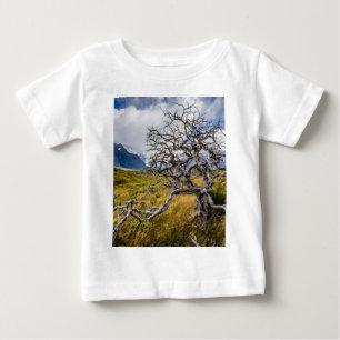 Brandstofboom, Torres del Paine, Chili
