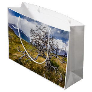 Brandstofboom, Torres del Paine, Chili Groot Cadeauzakje