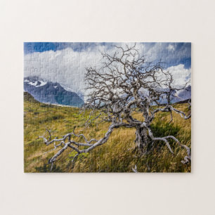 Brandstofboom, Torres del Paine, Chili Legpuzzel