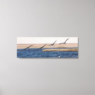Brandt Geese Flying and Artic Loon Foto Ontworpen Canvas Afdruk