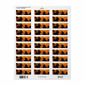 Brandweerteam Etiket (Full Sheet)