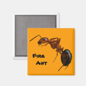 Brandwerende antenne magneet (Voorkant / Achterkant)