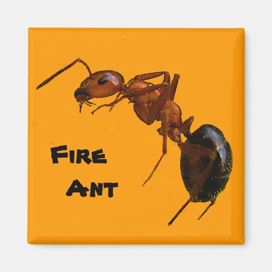 Brandwerende antenne magneet (Voorkant)