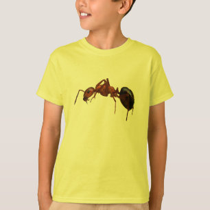 Brandwerendheid T-shirt