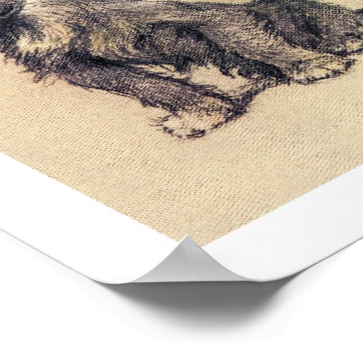 Brandy Poster (Hoek)