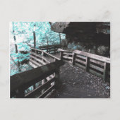 brandywine boardwalk briefkaart (Voorkant)