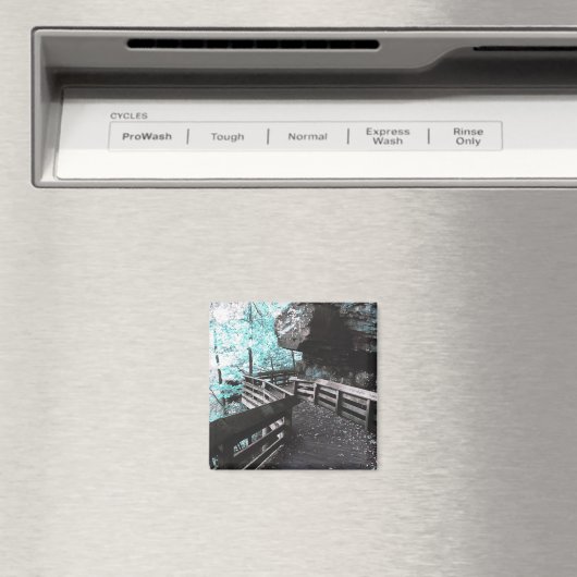 brandywine boardwalk magnet magneet (Insitu (Vaatwasser))