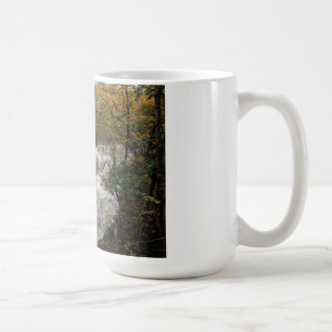Brandywine Falls Mug