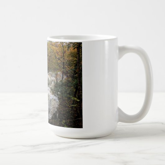 Brandywine Falls Mug (Droite)