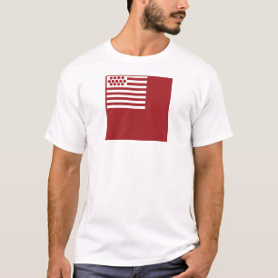 Brandywine Flag T-shirt