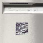 brandywine rockwall magneet (Insitu (Vaatwasser))