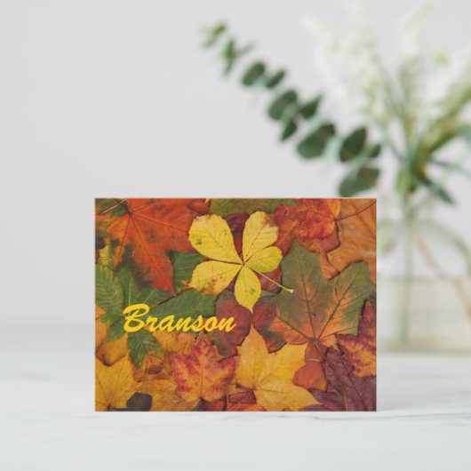 Branson Missouri Automne Feuilles Carte postale (Debout devant)