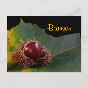 Branson Missouri, Autumn Leaf met Nut Briefkaart