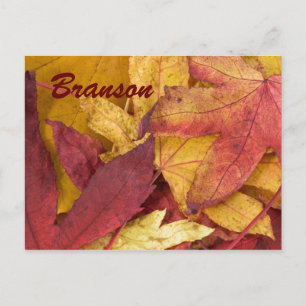 Branson Missouri Autumn Leaves Briefkaart