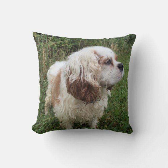 Branson Pillow Kussen (Voorkant)