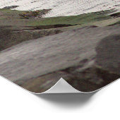 Brant Geese in Ocean Poster (Coin)