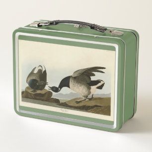 Brant Goose (Brant) uit Audubon Birds of America