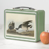 Brant Goose (Brant) uit Audubon Birds of America (In situ)