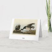 Brant Goose (Brant) uit Audubon Birds of America Kaart (Achterkant)