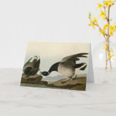 Brant Goose (Brant) uit Audubon Birds of America Kaart (Gele Bloem)