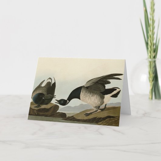 Brant Goose (Brant) uit Audubon Birds of America Kaart (Voorkant)