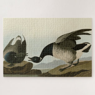 Brant Goose (Brant) uit Audubon Birds of America Legpuzzel