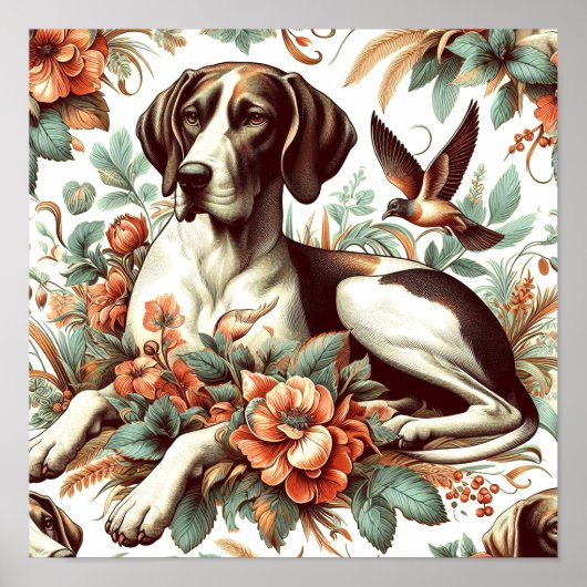 Braque Français Illustratie Poster (Voorkant)