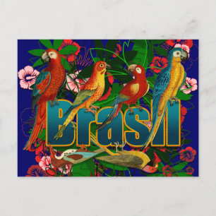 Brasil florale tropische vogels briefkaart