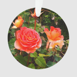 Brass Band Roos #1 Ornament