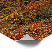 Brasstown Bald, Georgia Poster (Hoek)