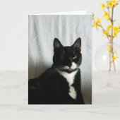 Brat Cat Razzberry Verjaardag Kaart (Gele Bloem)