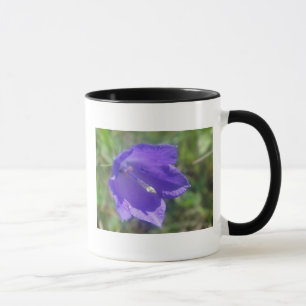 Braue Tasse Glockenblume