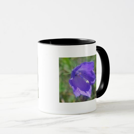 Braue Tasse Glockenblume (Devant droit)